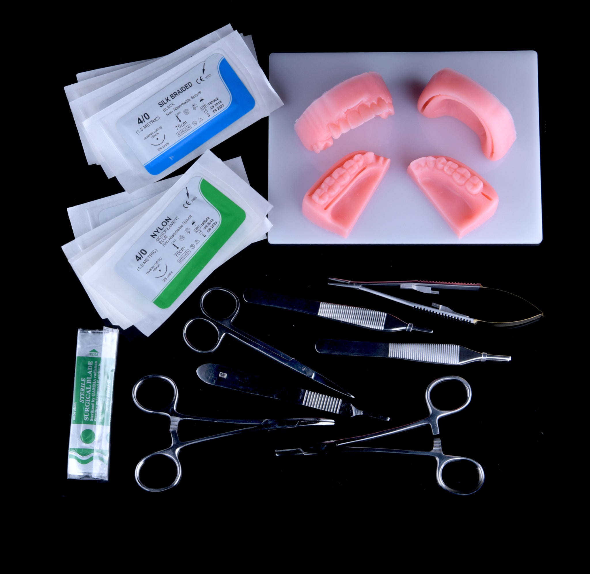 PUIERTUFD Kit De Pratique De Suture, kit de Suture Complet Comprenant 4  Outils de Suture Dentaire de qualité Module de Pratique de la Suture orale